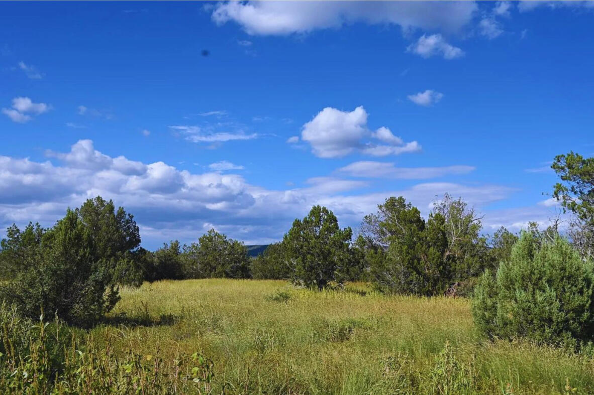 Coconino 2.25 Acres, 20508006 Multi-Family - 5846 W Valley View Blvd, Williams, AZ 86046