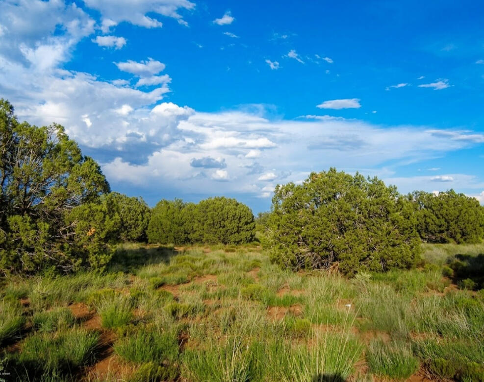 Navajo 1.14 Acres, 403-06-095 - 4248 E Pinto Rd, Snowflake, AZ 85937