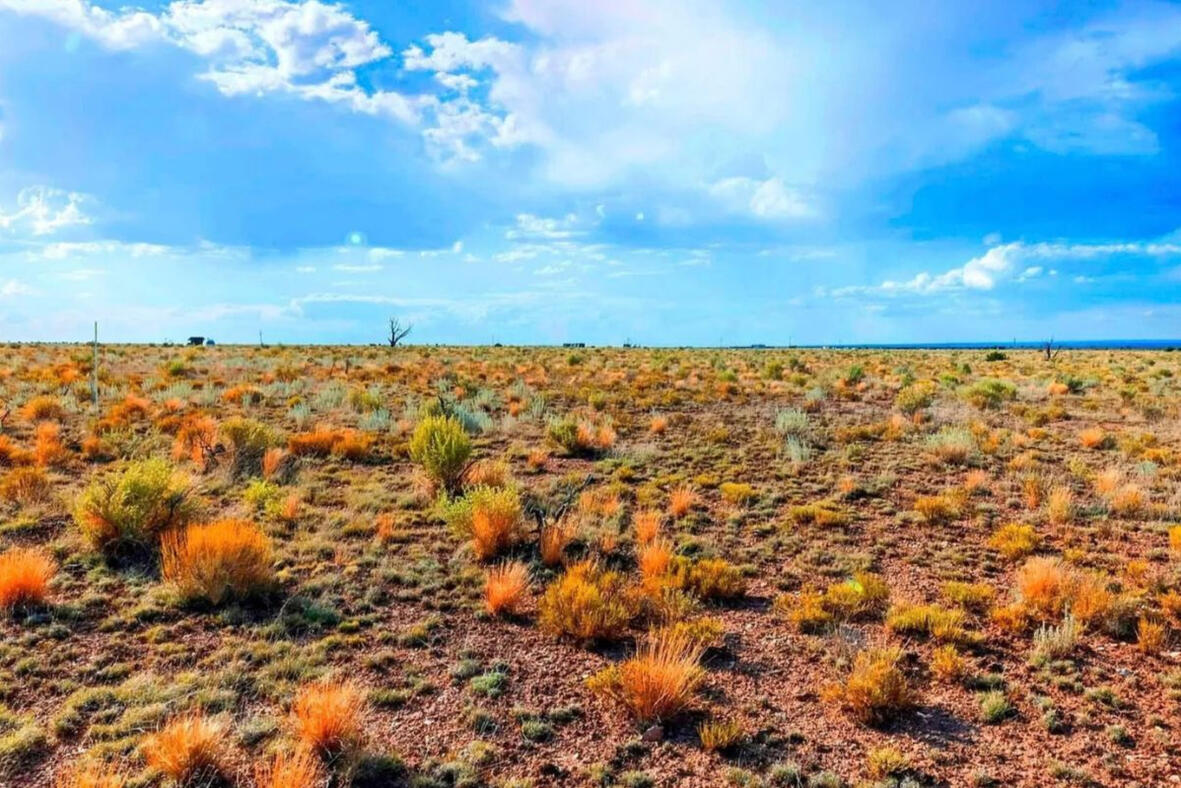 Coconino 0.25 Acres, 50303052c Smaller Rectangle - S Colgate St, Williams, AZ, 86046