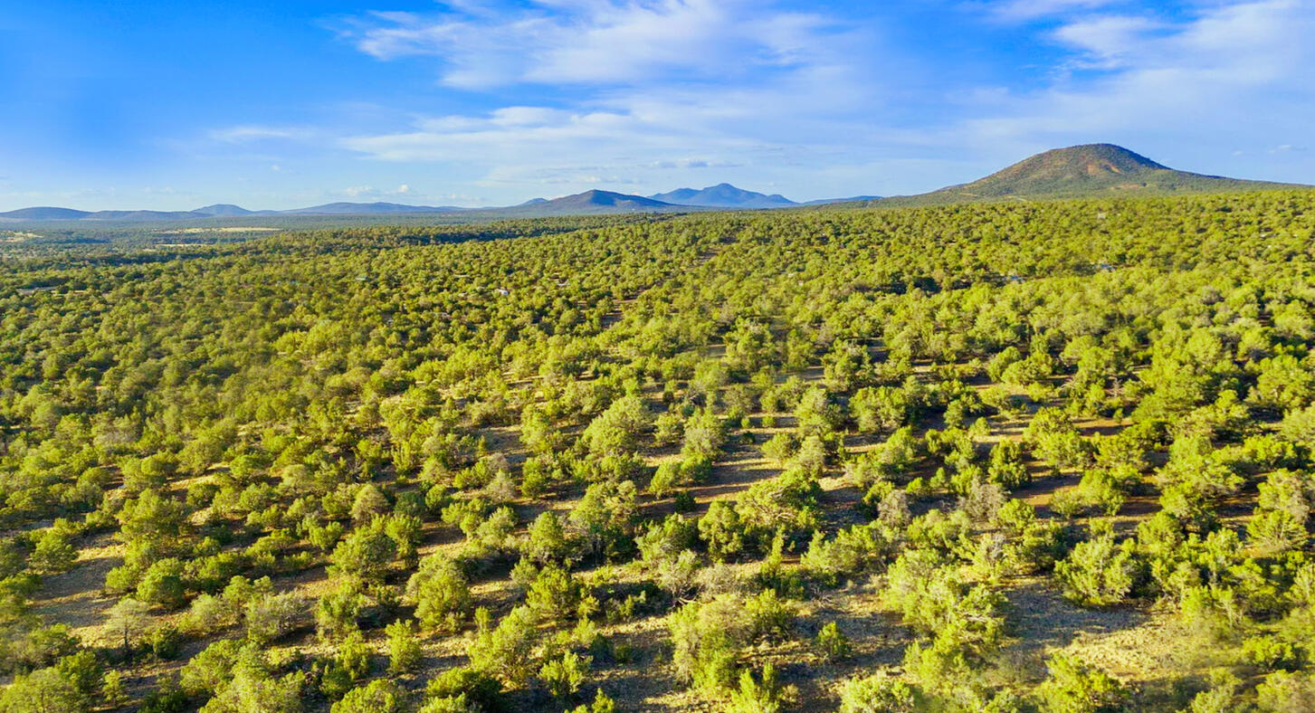 Coconino 1 Acres, 50008058 E Jackpine - 558 E JACKPINE LN WILLIAMS, AZ 86046