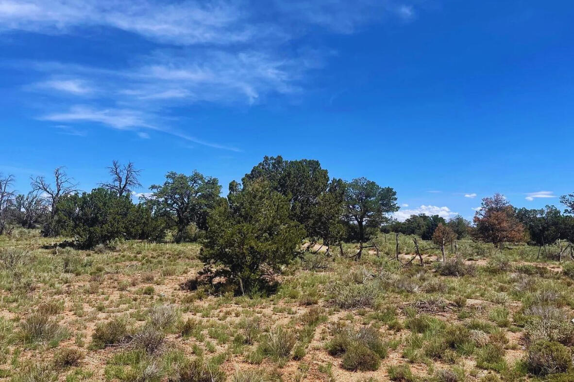 Coconino 1.03 Acres, 50177073 Deep 5 Lots of Trees - 852 S WEDGEWOOD DR WILLIAMS, AZ 86046