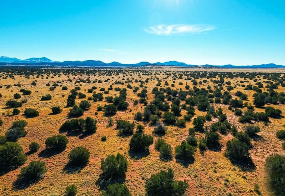 Coconino 1.03 Acres, 50177071 Deep 3 Lots of Trees - 792 S WEDGEWOOD DR WILLIAMS, AZ 86046
