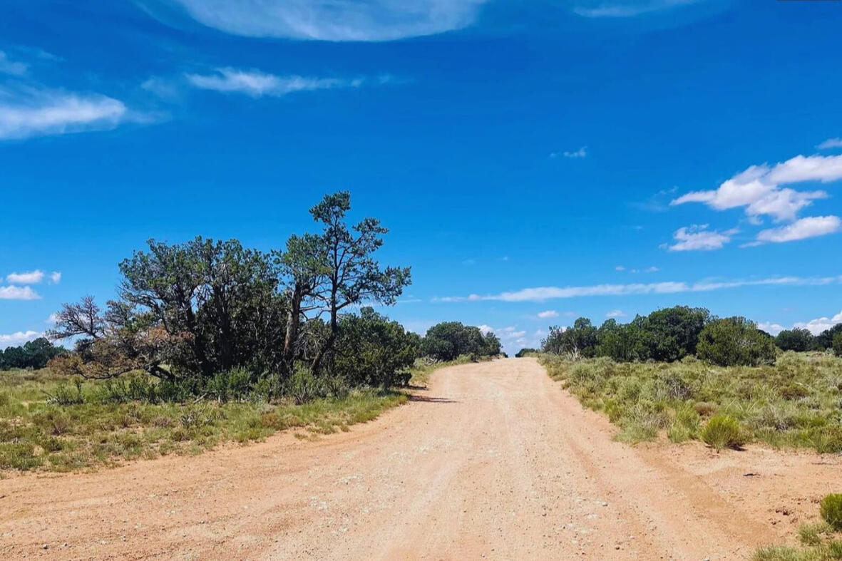 Coconino 1.05 Acres, 50177005 Deep 7 - 692 S WEDGEWOOD DR WILLIAMS, AZ 86046