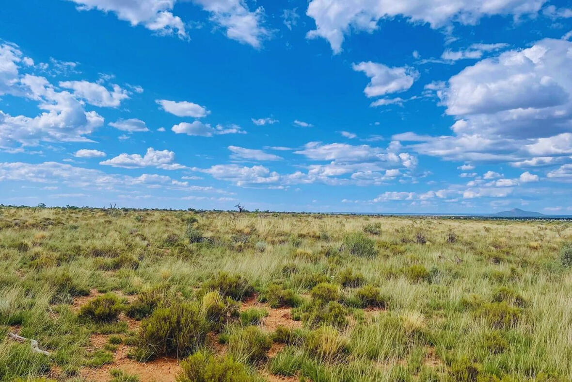 Coconino 1.05 Acres, 50177004 Deep 8 - 662 S WEDGEWOOD DR WILLIAMS, AZ 86046