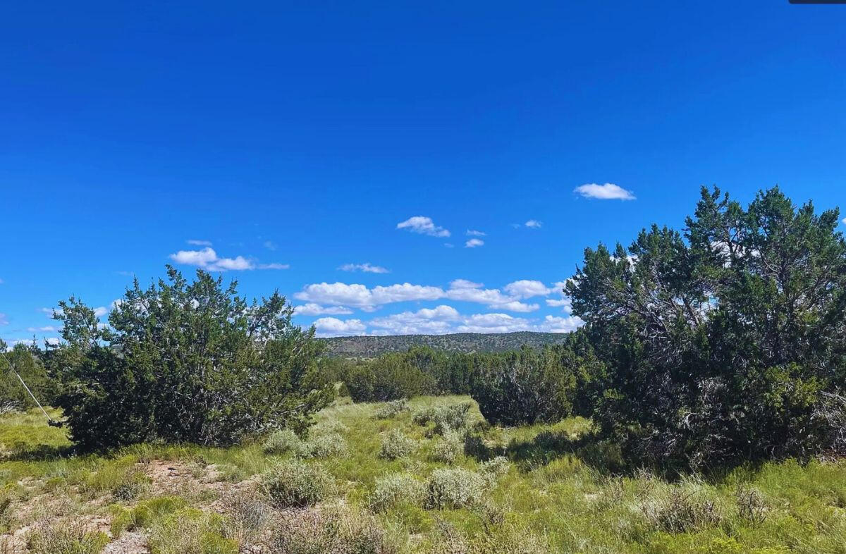 Coconino 1.03 Acres, 50177070 Deep 2 Trees Corner - 764 S WEDGEWOOD DR WILLIAMS, AZ 86046