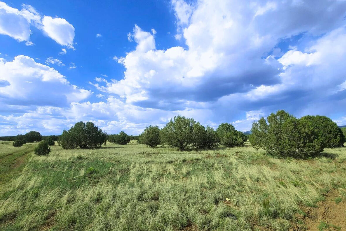 Coconino 1.1 Acres, 50175025 Small Hill - SIERRA LN WILLIAMS, AZ 86046