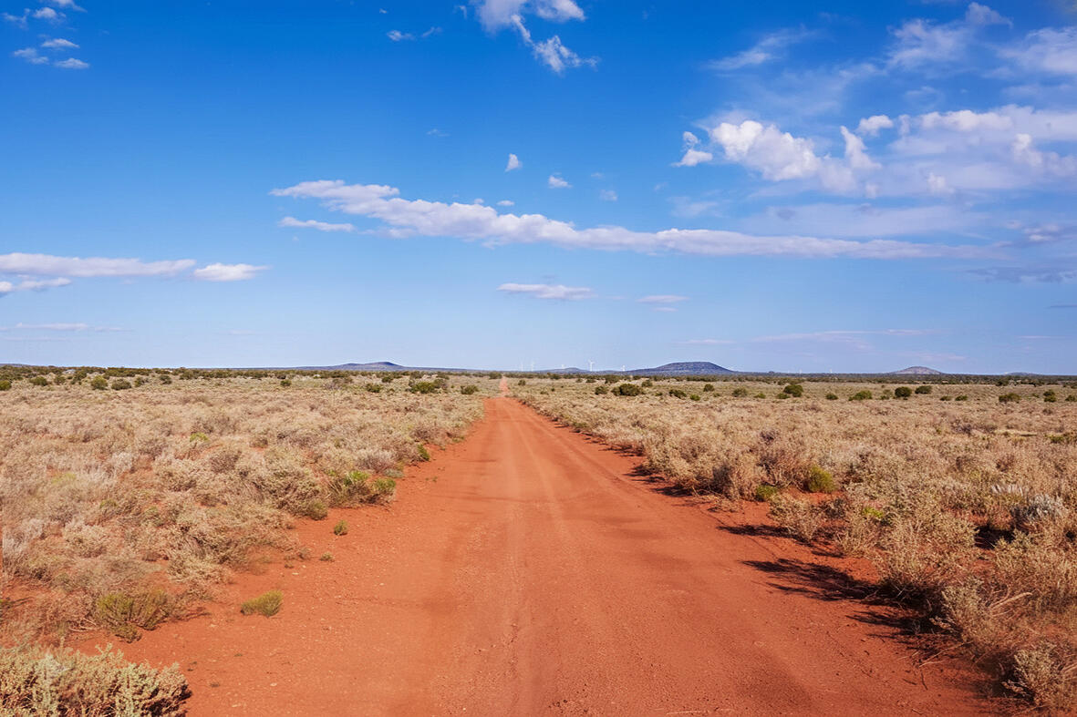 Coconino 1.09 Acres, 50129025 Corner - 2023 PAGE DR, WILLIAMS, AZ 86046