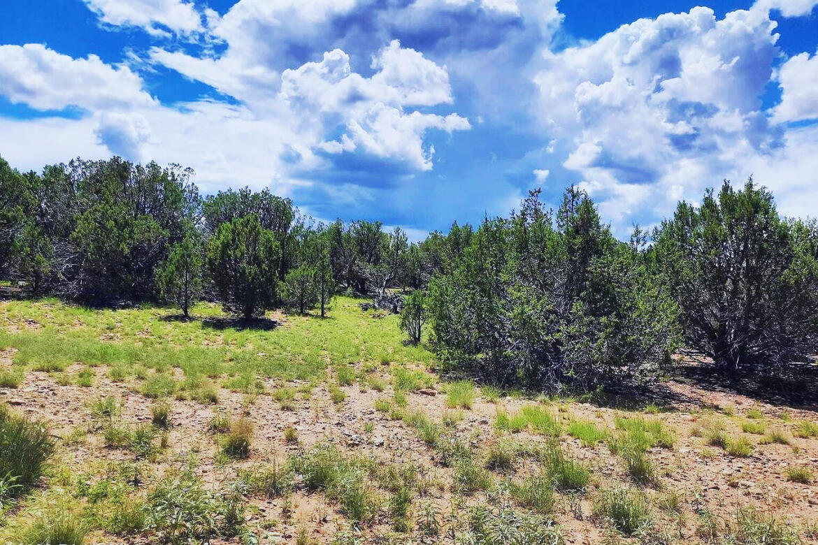 Yavapai 1.87 Acres, 301-38-098 Next to Public Land 2 - Via De Oro Pkwy, Seligman, AZ 86337