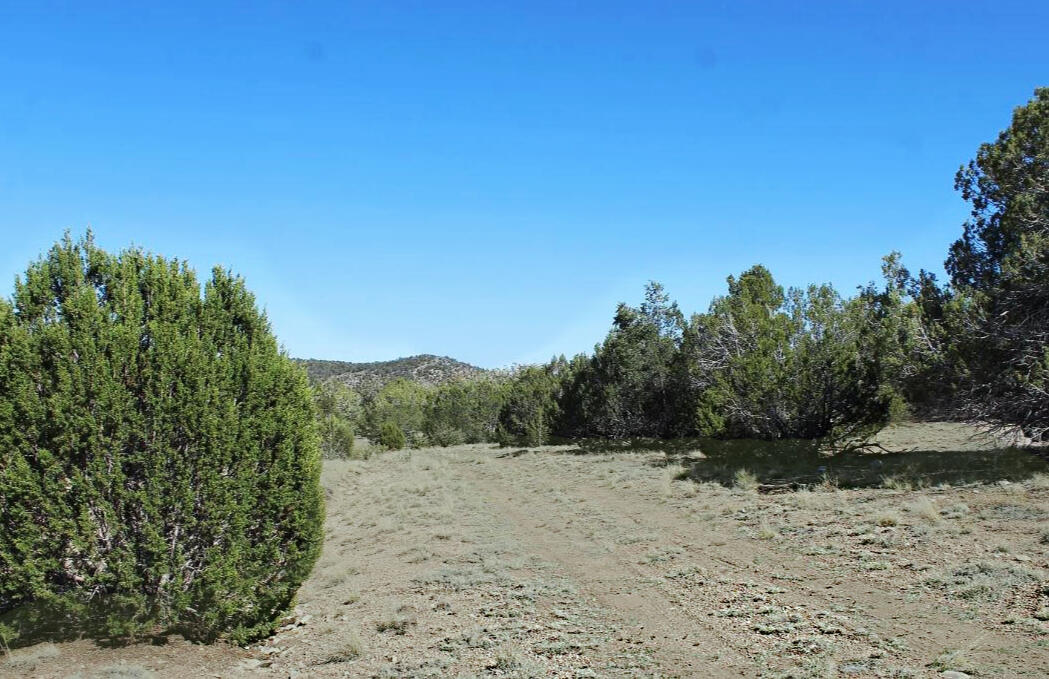 Yavapai 1.06 Acres, 30142143 Public Land - 51973 N Agua Fria Rd, Seligman, AZ 86337