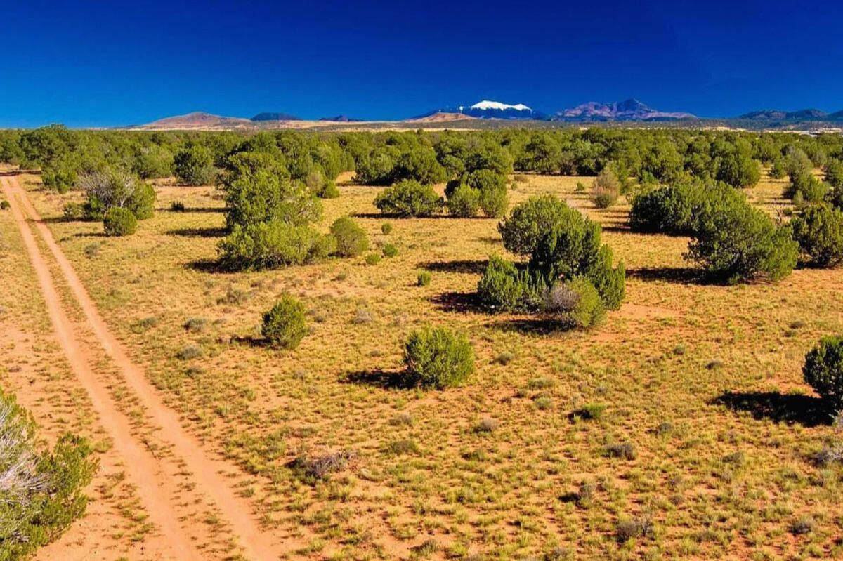 Coconino 1.03 Acres, 50177072 Deep 4 Lots of Trees - 822 S WEDGEWOOD DR WILLIAMS, AZ 86046