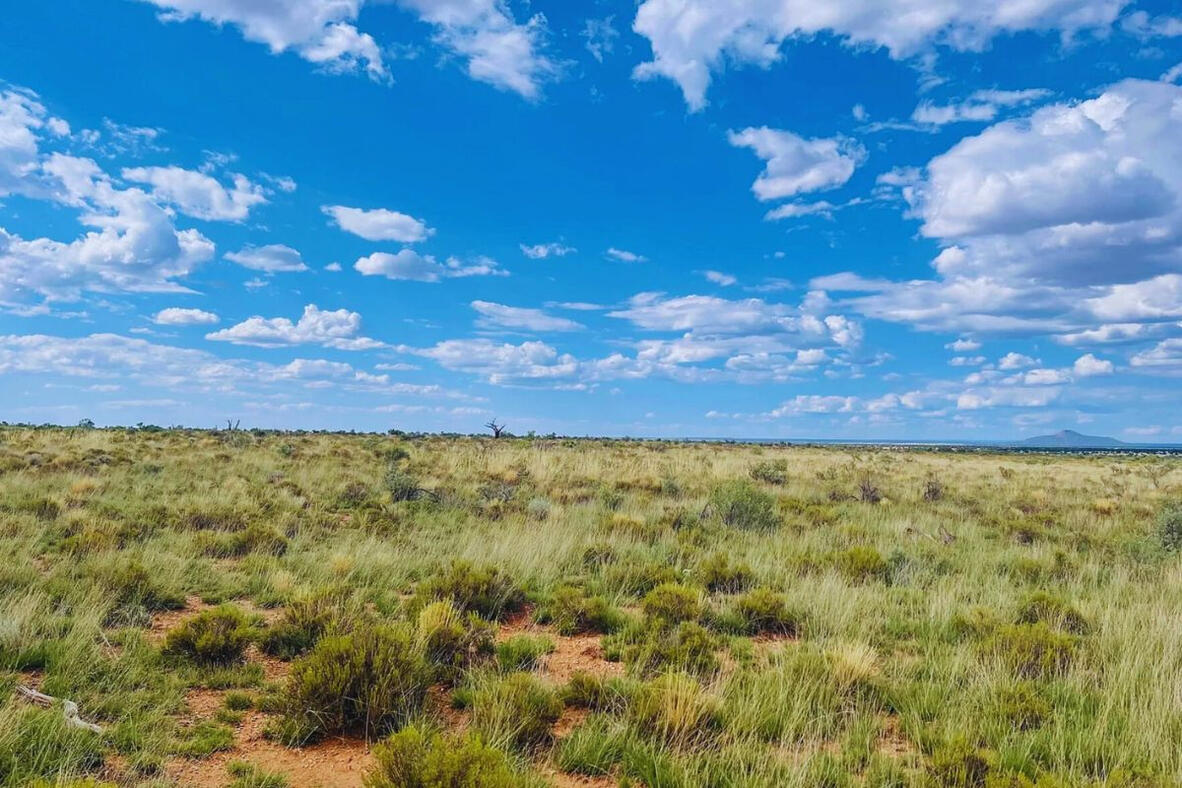 Coconino 1.05 Acres, 50177004 Deep 8 - 662 S WEDGEWOOD DR WILLIAMS, AZ 86046