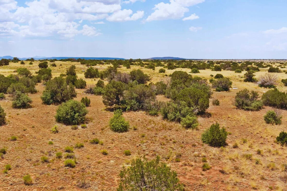 Coconino 1.03 Acres, 50177075 Deep 1 Lots of Trees - 910 S WEDGEWOOD DR WILLIAMS, AZ 86046