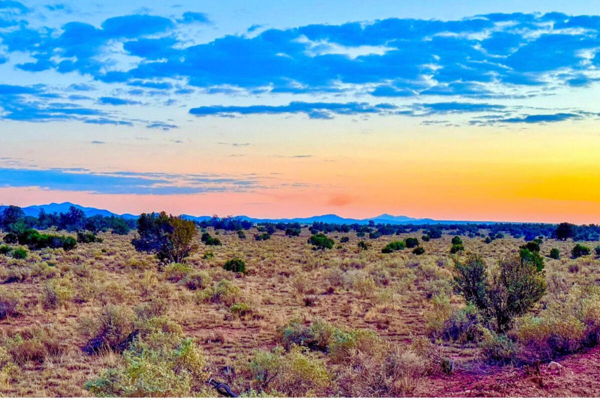Coconino 1.1 Acres, 50173074 Tons of Trees - S GLEN SPRING LN WILLIAMS, AZ 86046